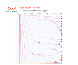 mtDNA Time Tree visualization for haplogroup U3b2 showing ancient maternal lineage patterns with origins near Çatalhöyük.