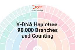 Y-DNA Haplotree: 90,000 Branches and Counting